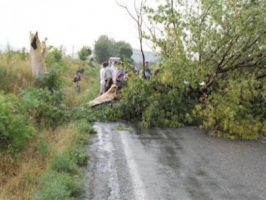 DRDP Constanţa, obligată să plătească 15.000 de lei daune morale victimelor unui accident rutier